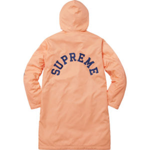 champion supreme hoodie peach