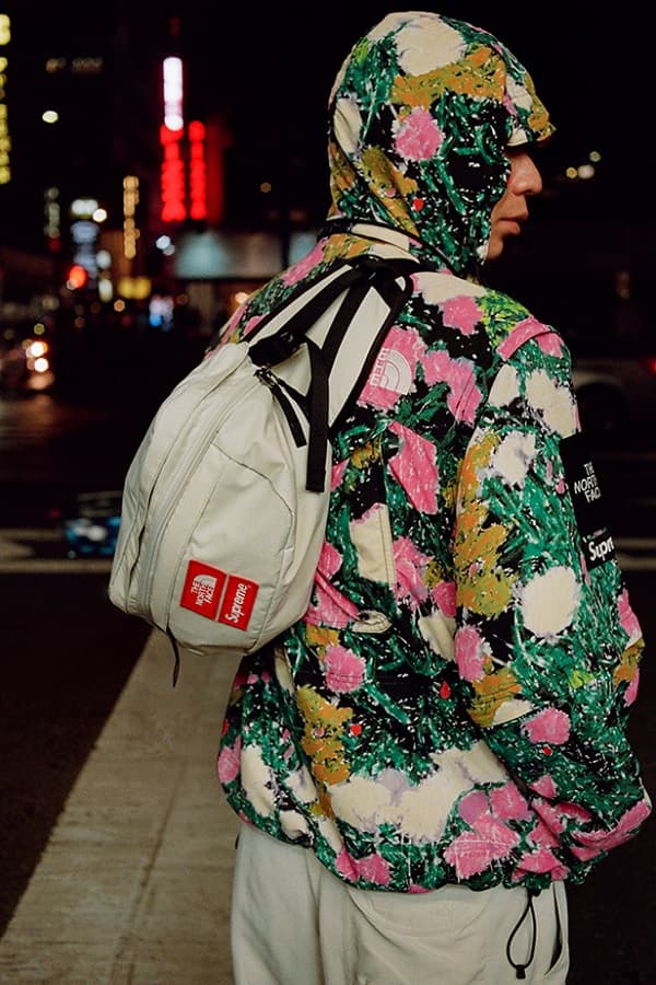 Supreme the north face backpack 白